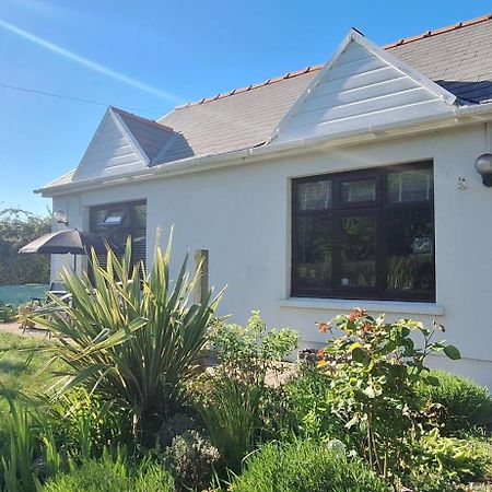 Y Cuddfan Gower Bed & Breakfast Swansea Eksteriør bilde