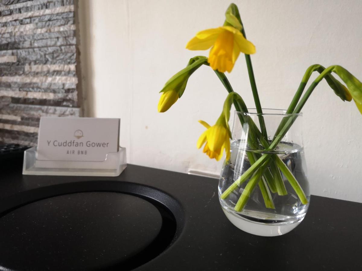 Y Cuddfan Gower Bed & Breakfast Swansea Eksteriør bilde